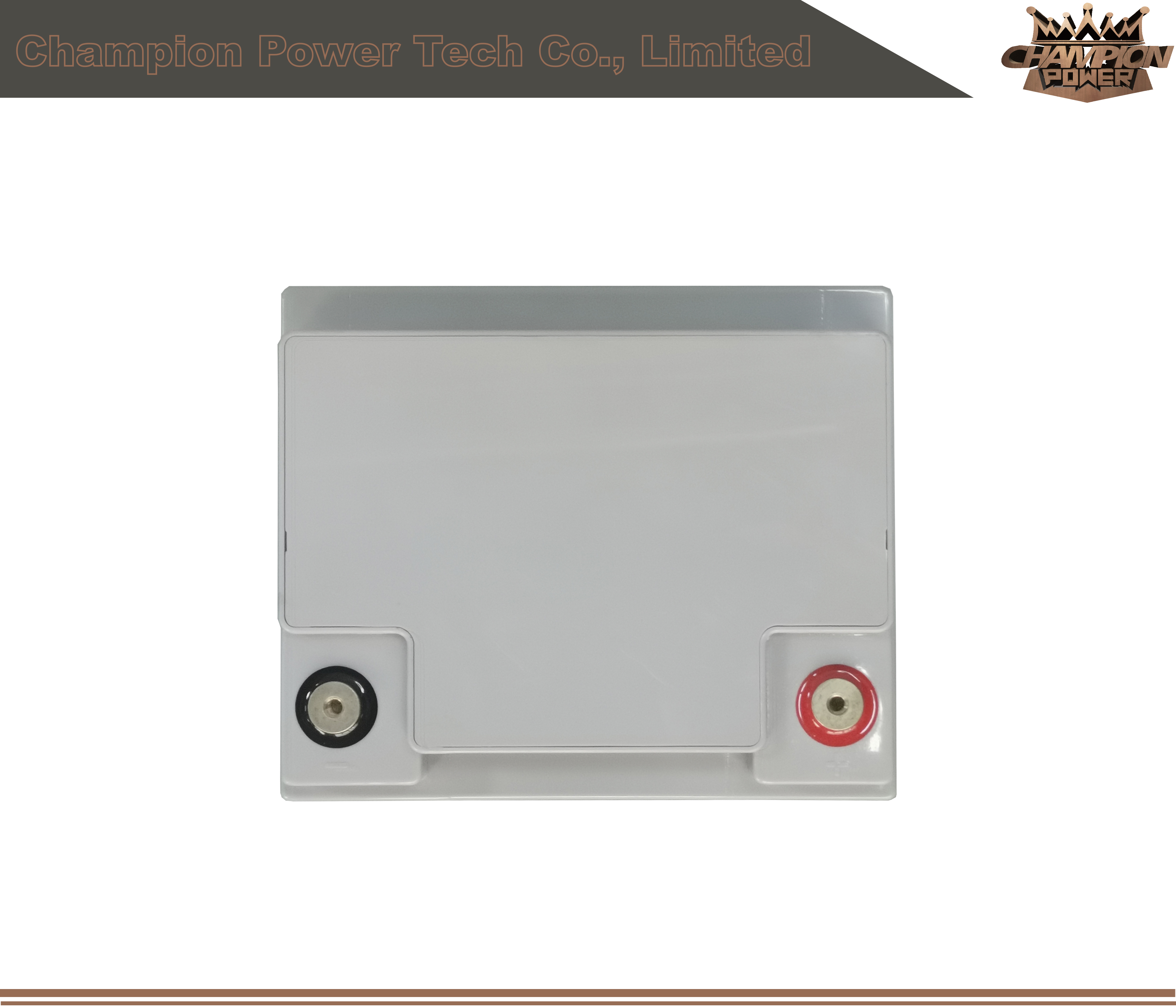 6FM45 12V45AH AGM Батарея