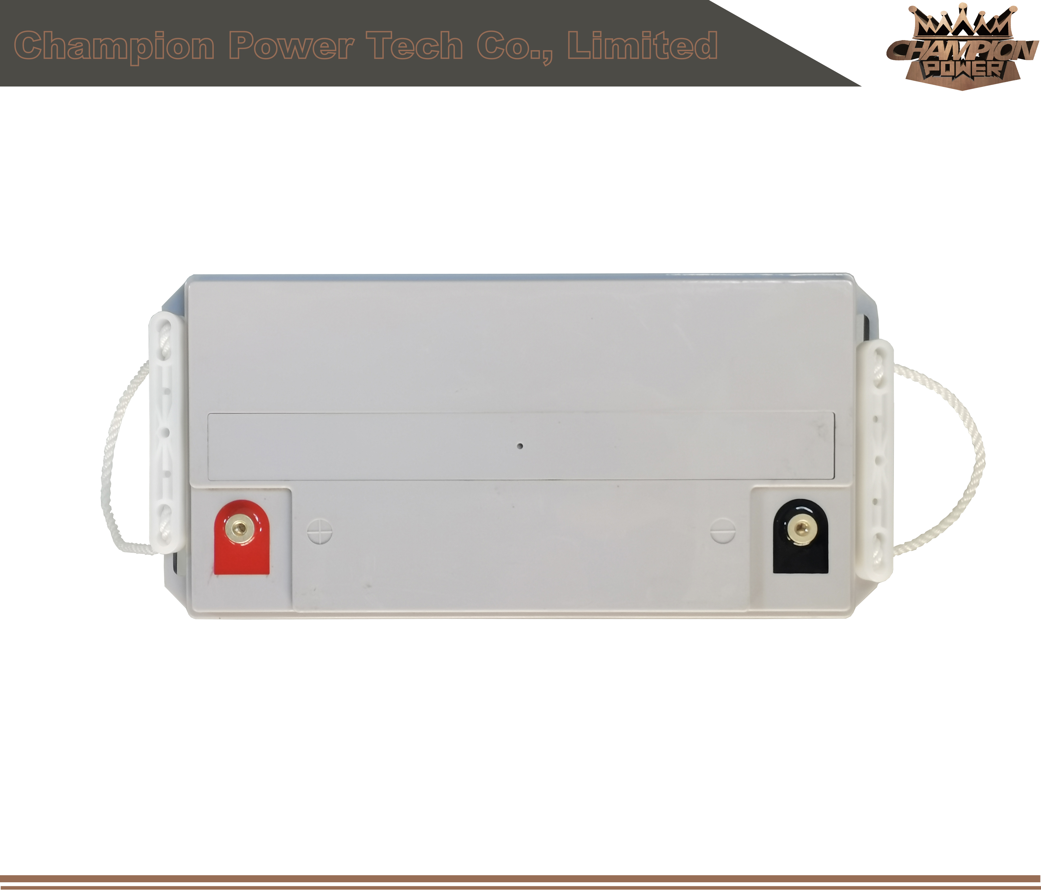 6FM65 12V65AH AGM Батарея