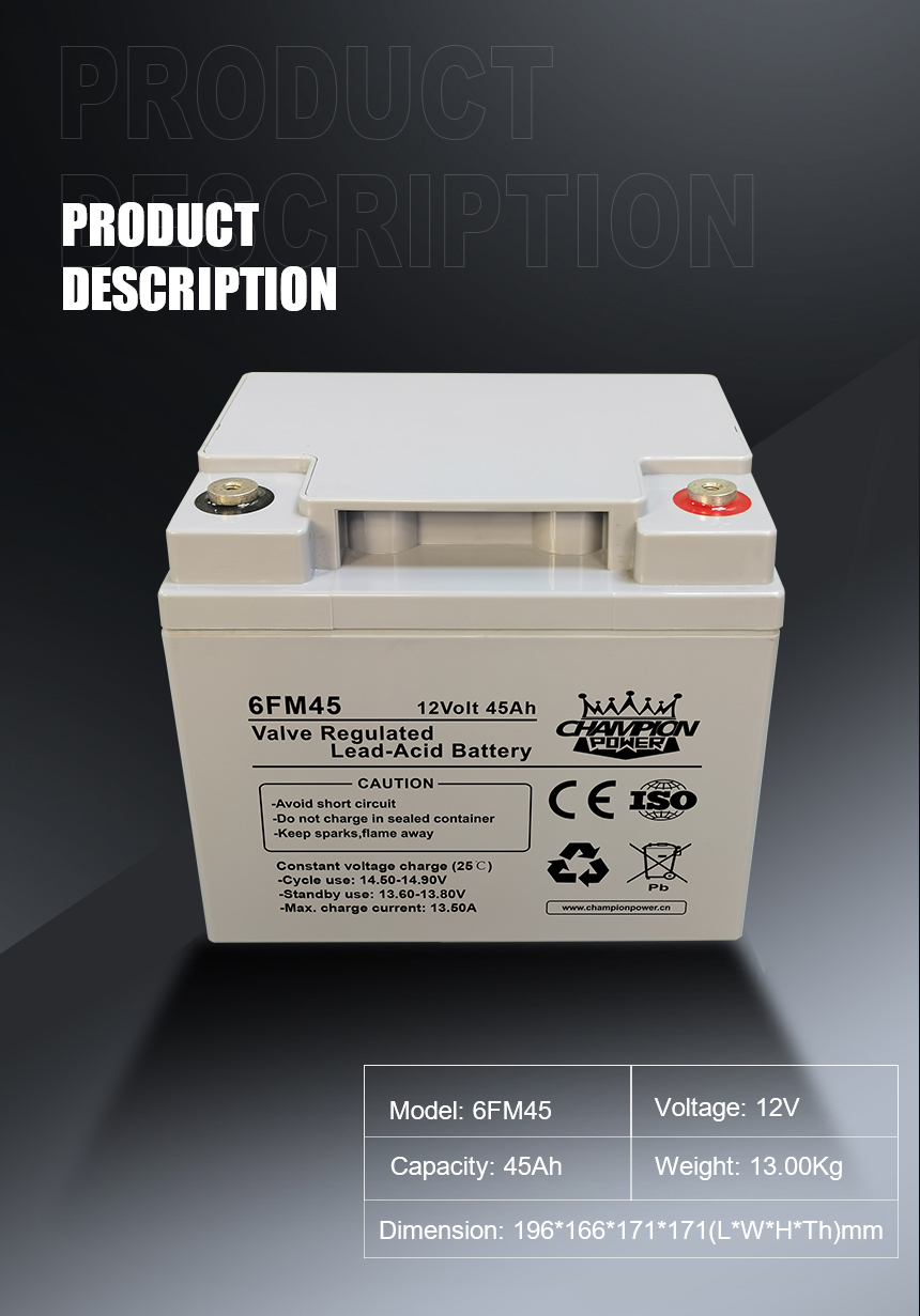 12V45AH Описание продукта