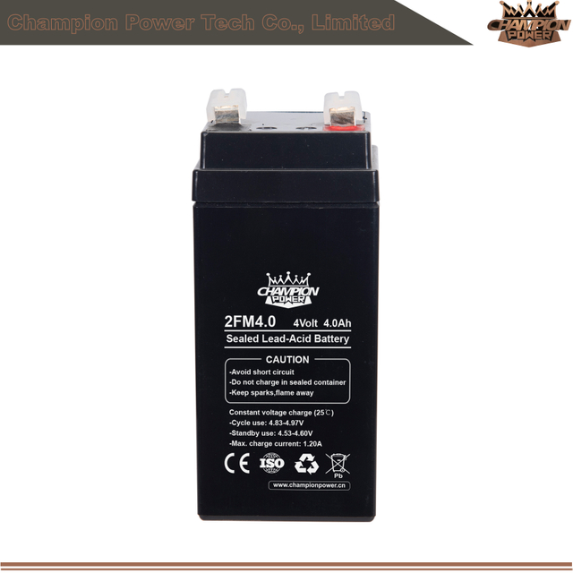 2FM4.0 4V4.0AH AGM Батарея